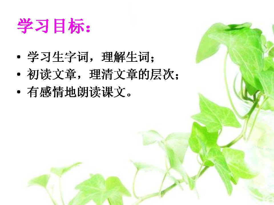 负荆请罪ppt模板