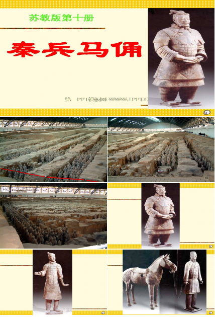 秦兵马俑教案ppt课件