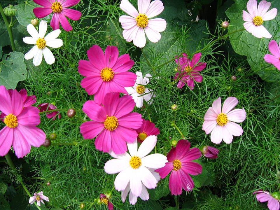 触摸春天ppt模版