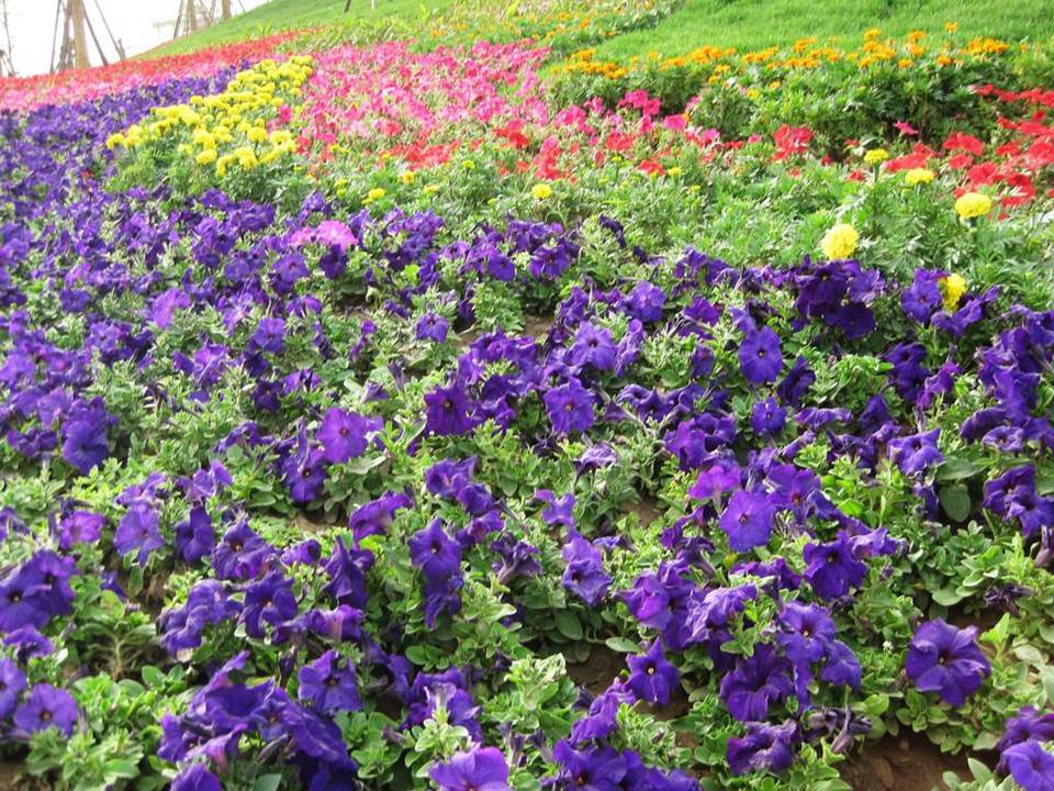 触摸春天ppt模版