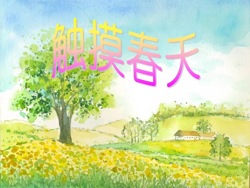 触摸春天ppt免费
