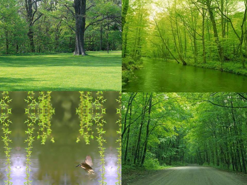 触摸春天说课ppt模板