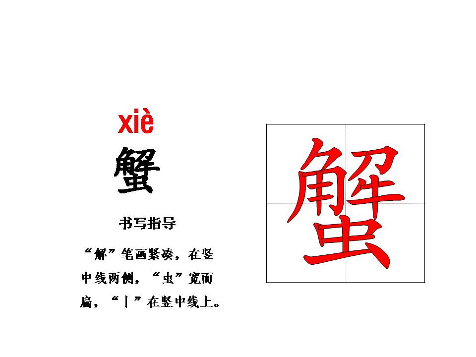 赶海说课ppt模板