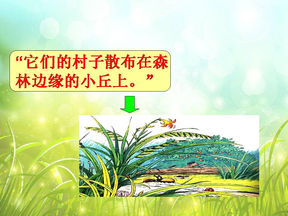 草虫的村落ppt模板