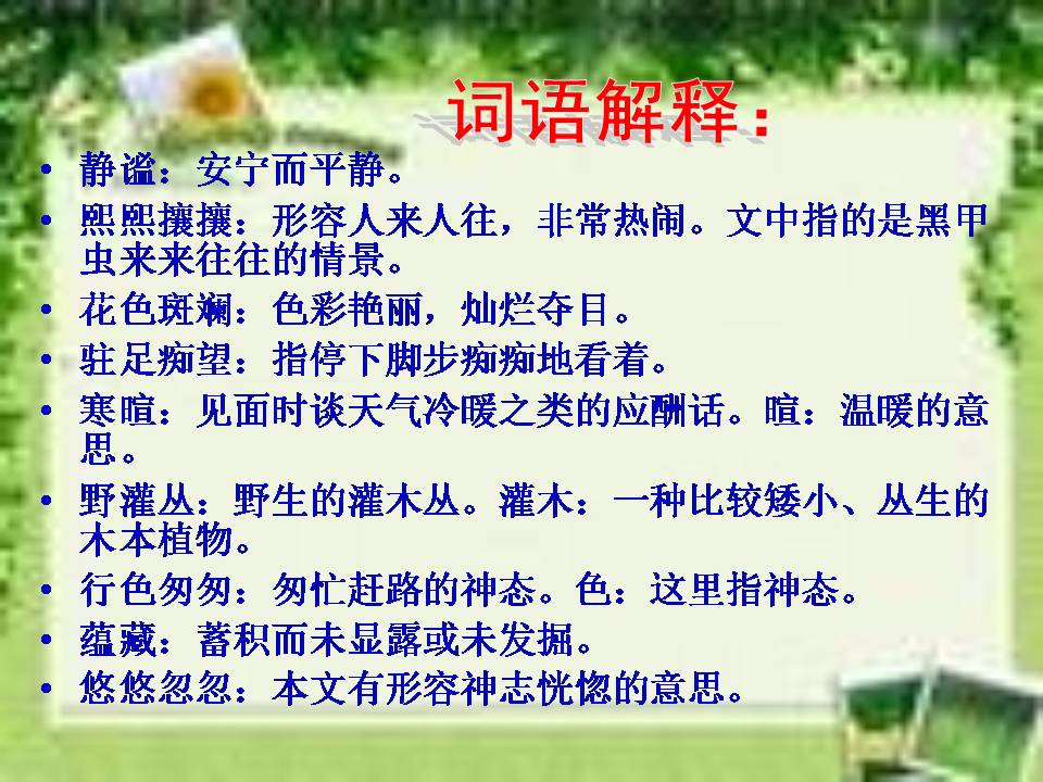 草虫的村落ppt课件