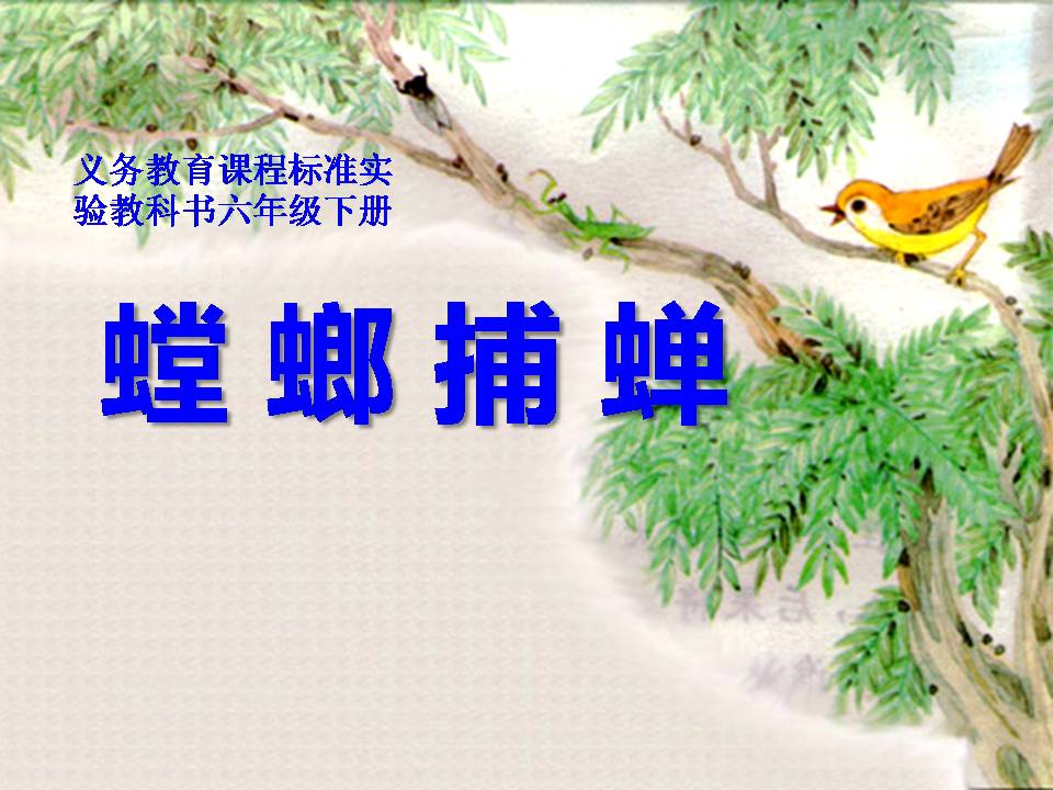 螳螂捕蝉ppt课件
