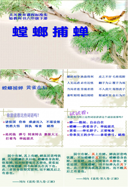 螳螂捕蝉ppt课件