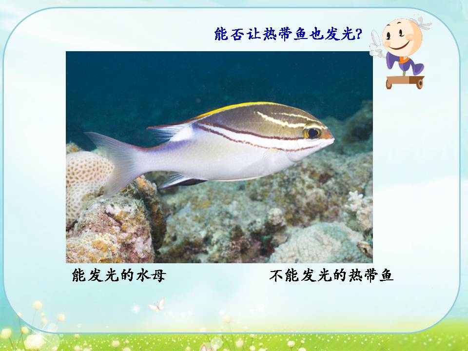 神奇的基因工程ppt