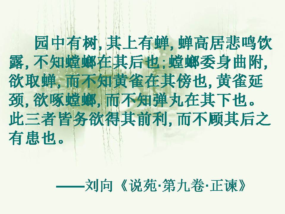 螳螂捕蝉ppt课件