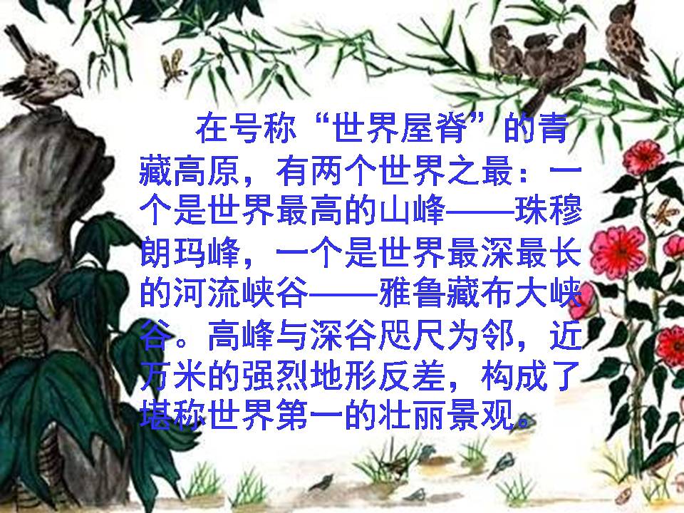 雅鲁藏布大峡谷ppt课件