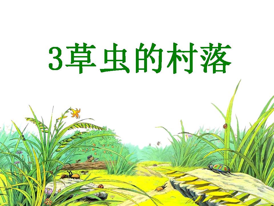 草虫的村落ppt