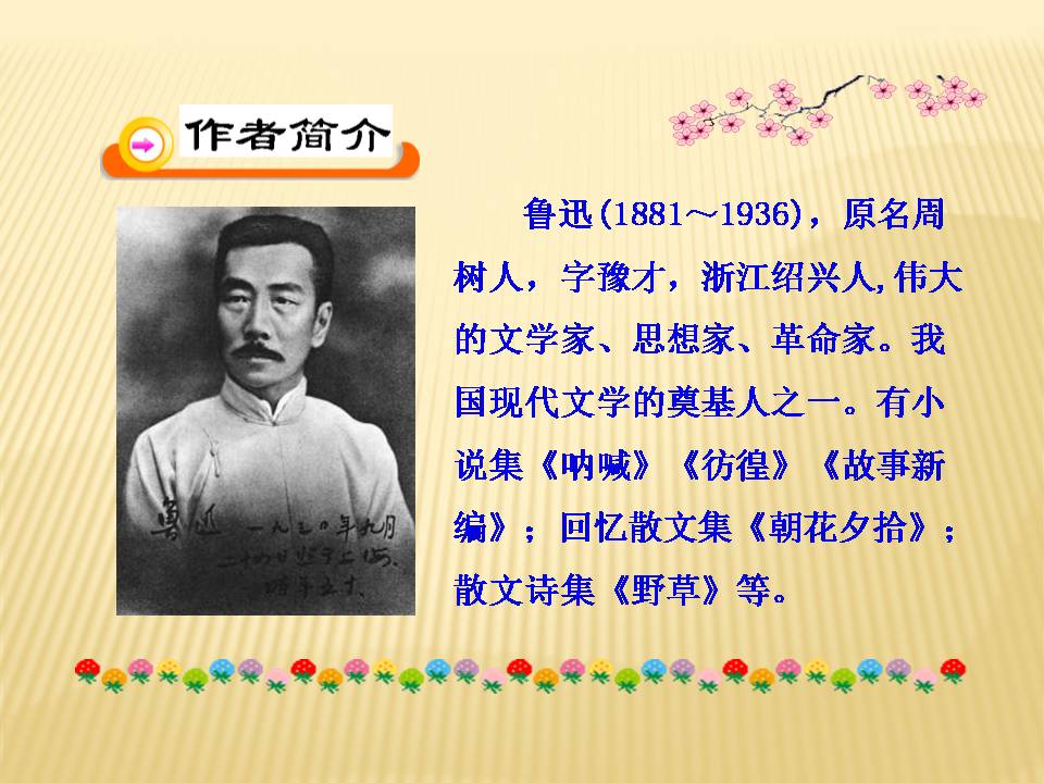 藤野先生ppt课件