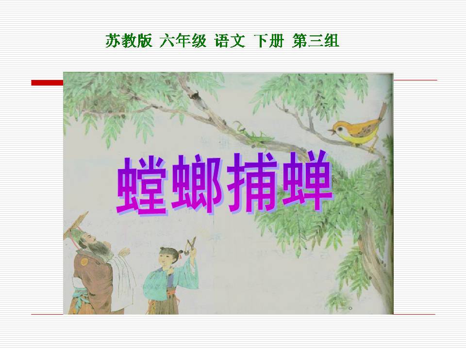 苏教版螳螂捕蝉ppt