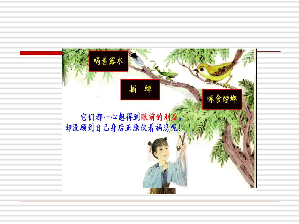 苏教版螳螂捕蝉ppt