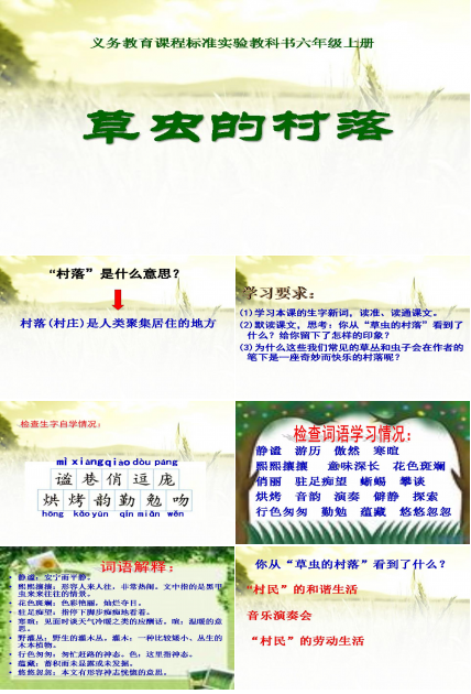草虫的村落ppt课件