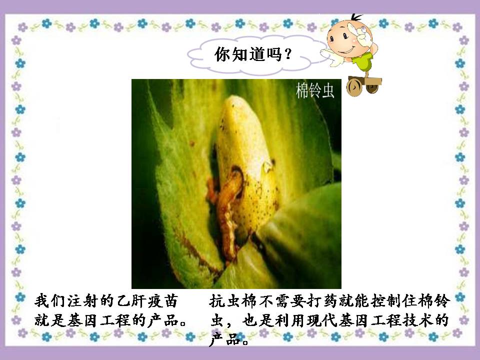 神奇的基因工程ppt