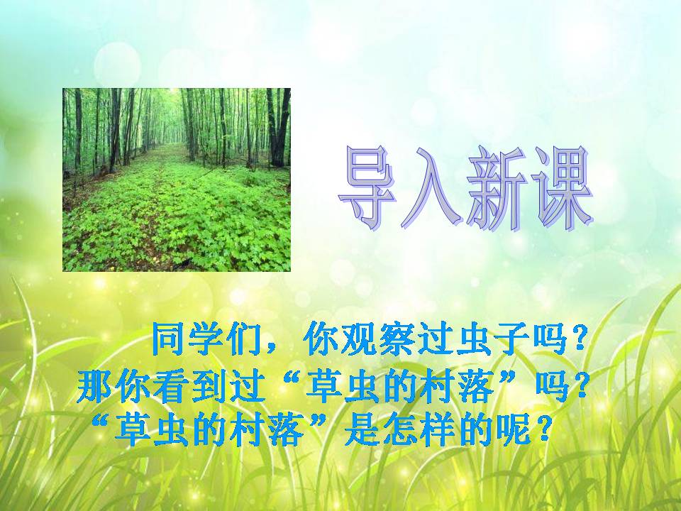 草虫的村落ppt模板