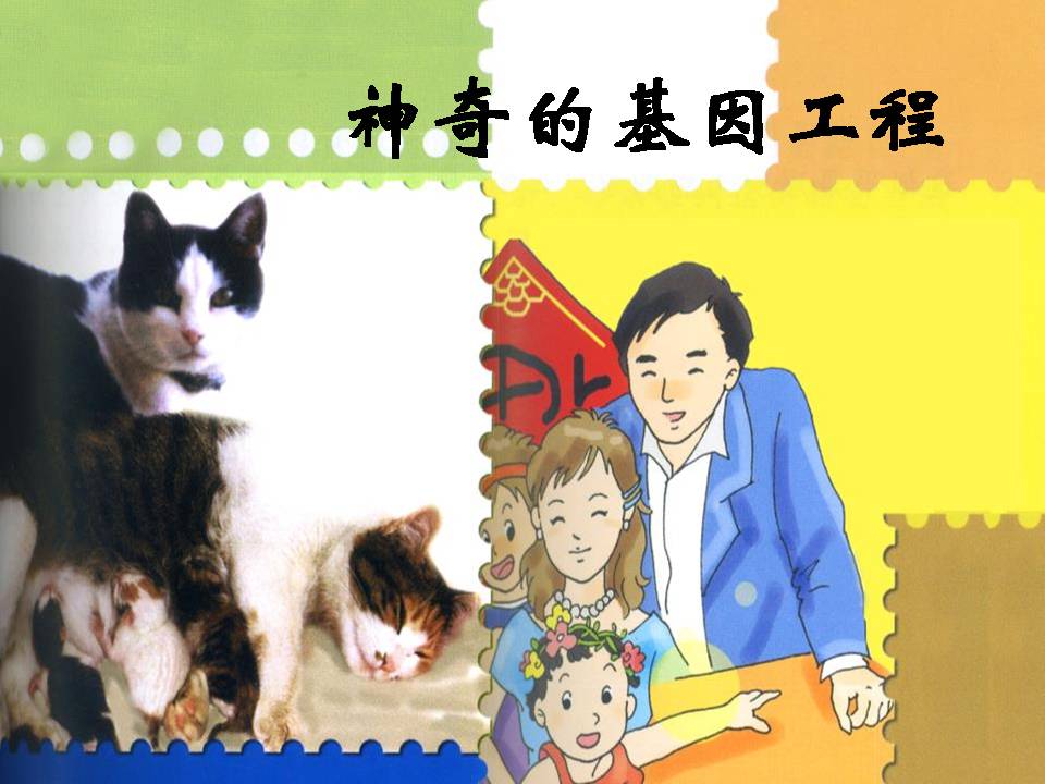 神奇的基因工程ppt