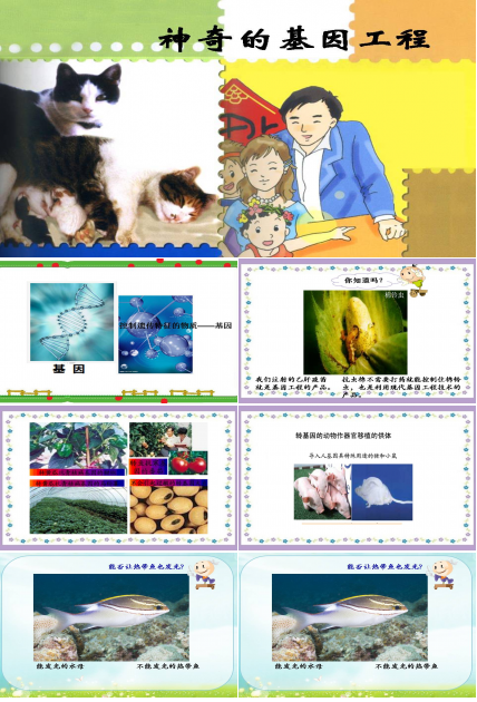 神奇的基因工程ppt