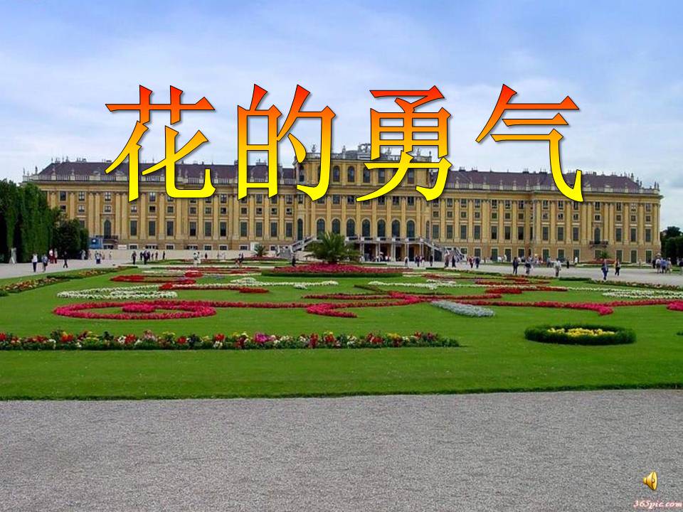 20花的勇气ppt
