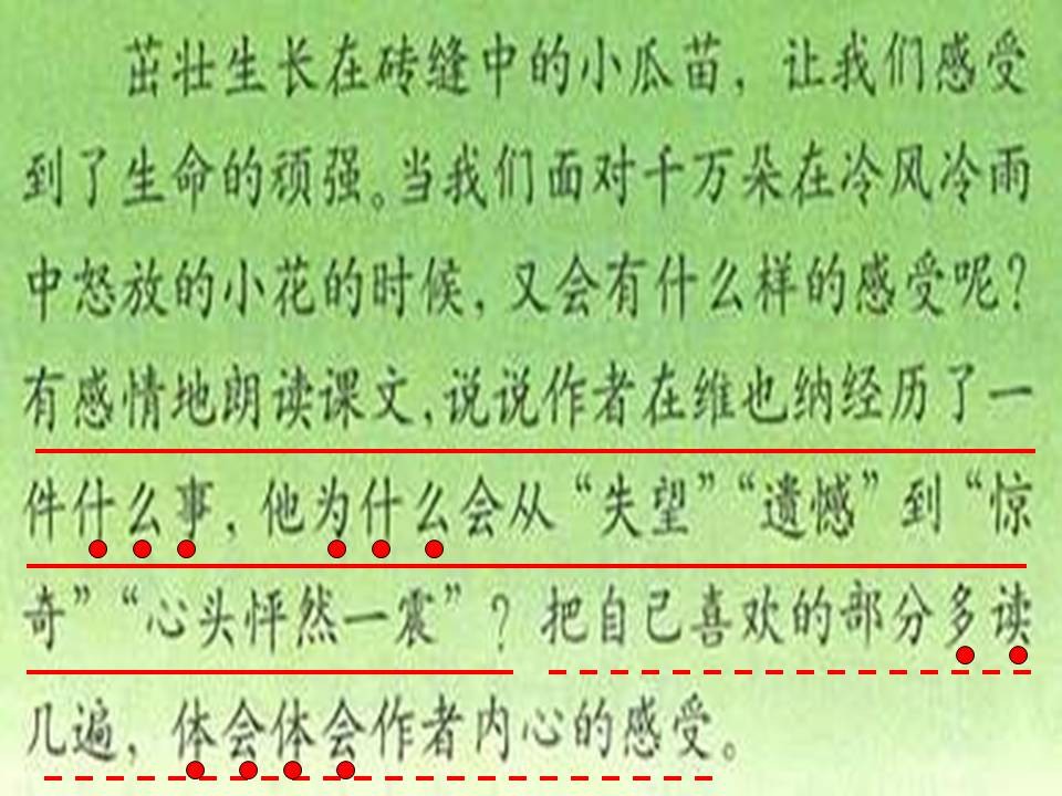 花的勇气教学ppt