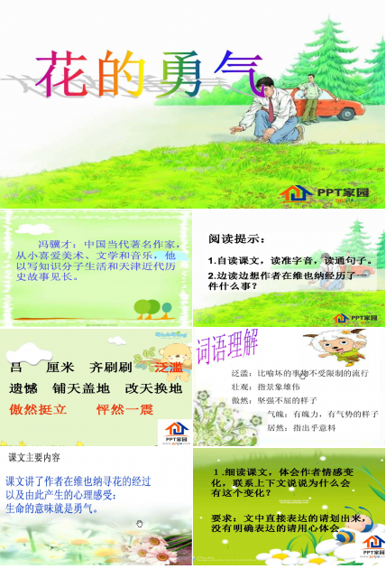 花的勇气ppt公开课