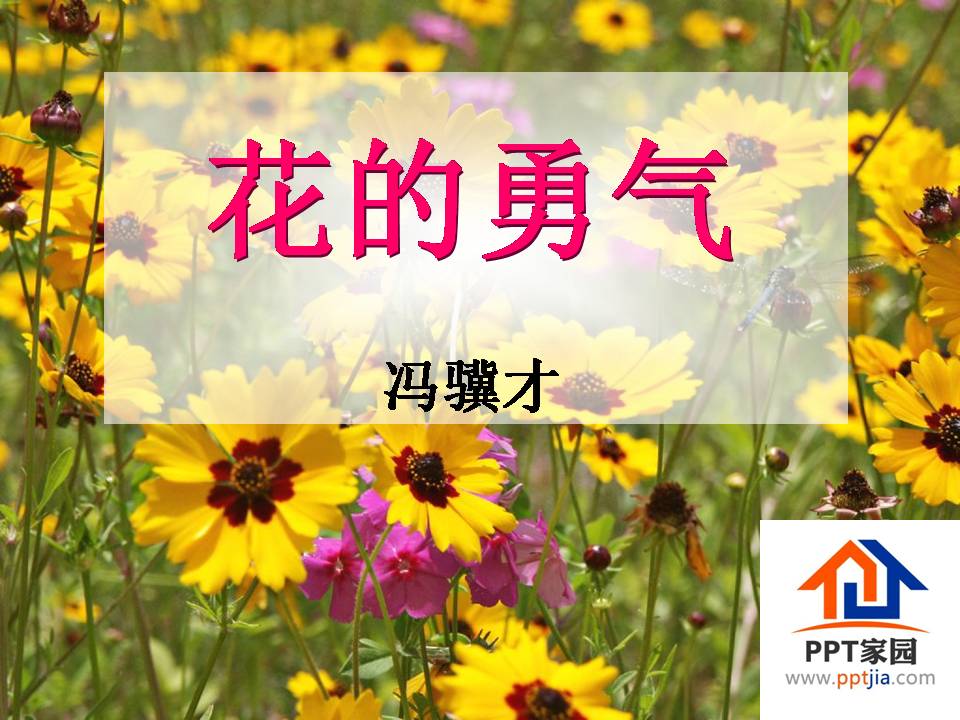 花的勇气教学ppt