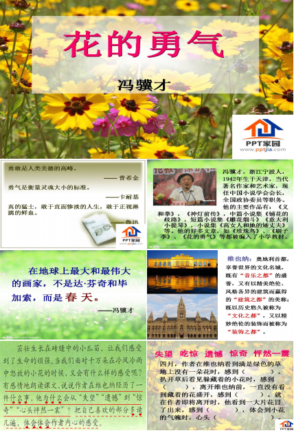 花的勇气教学ppt