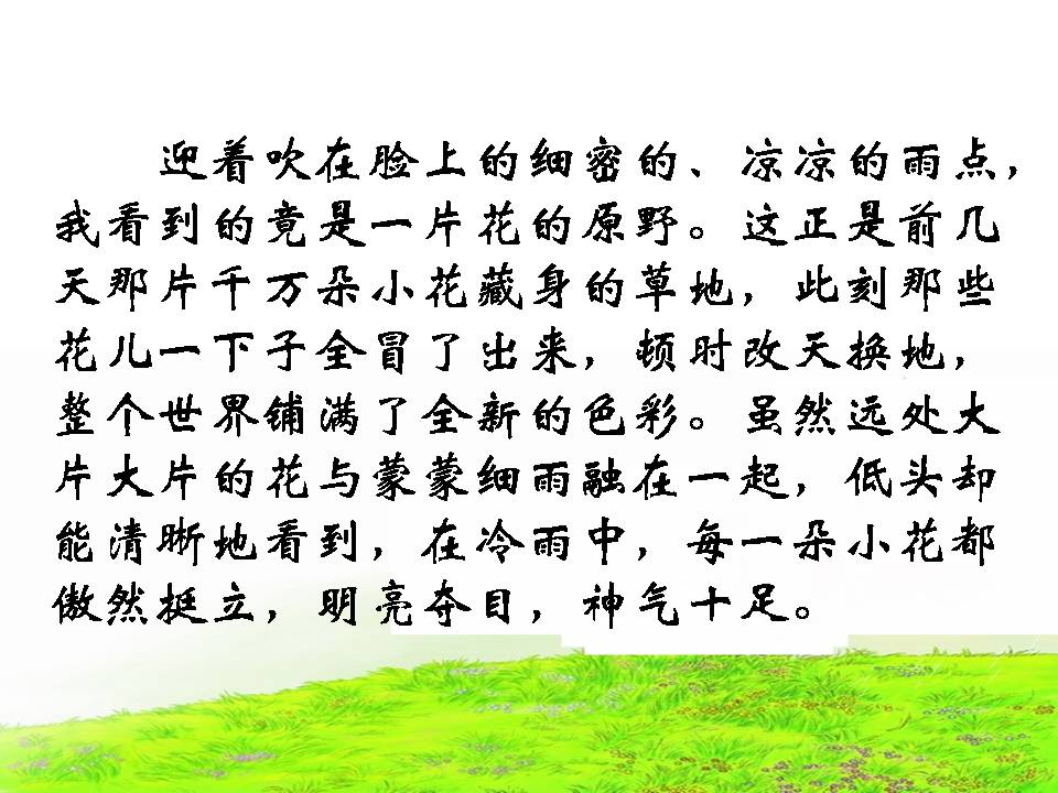 花的勇气ppt完美版