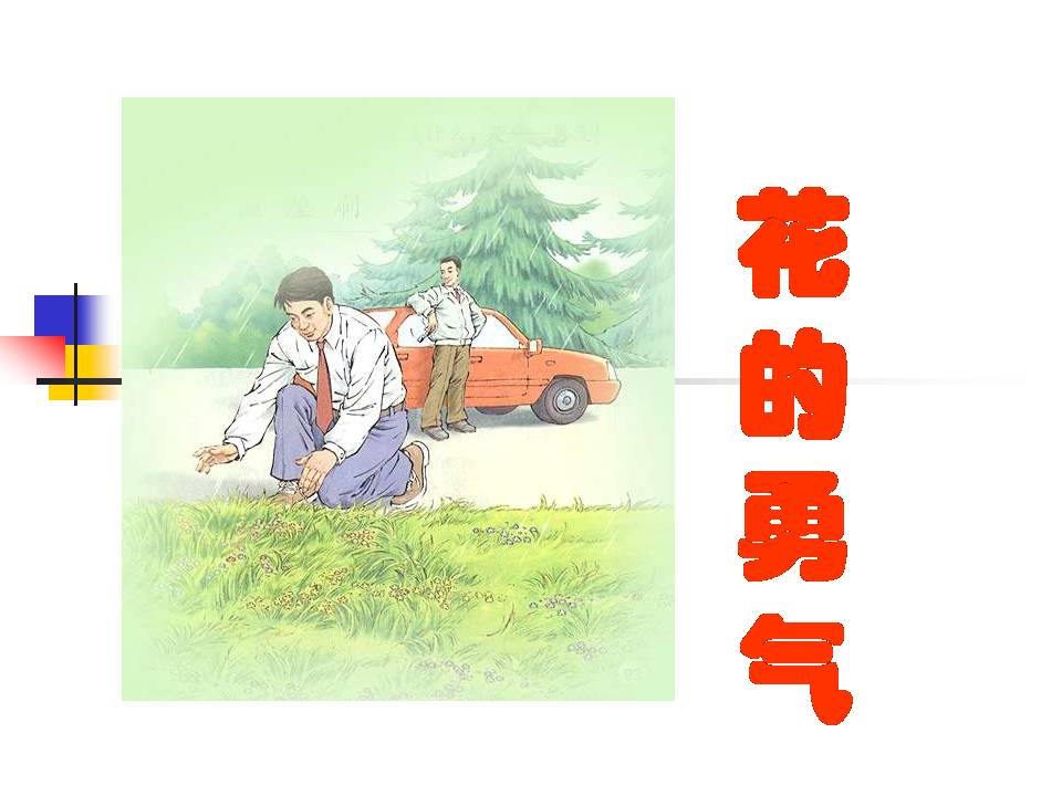 20花的勇气ppt