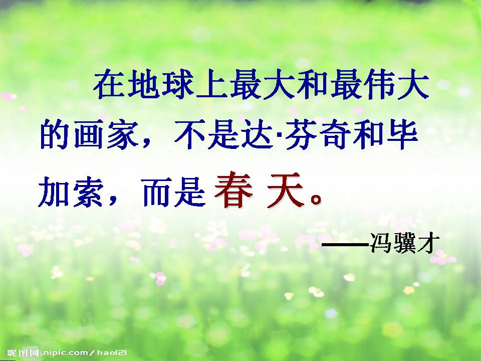 花的勇气教学ppt