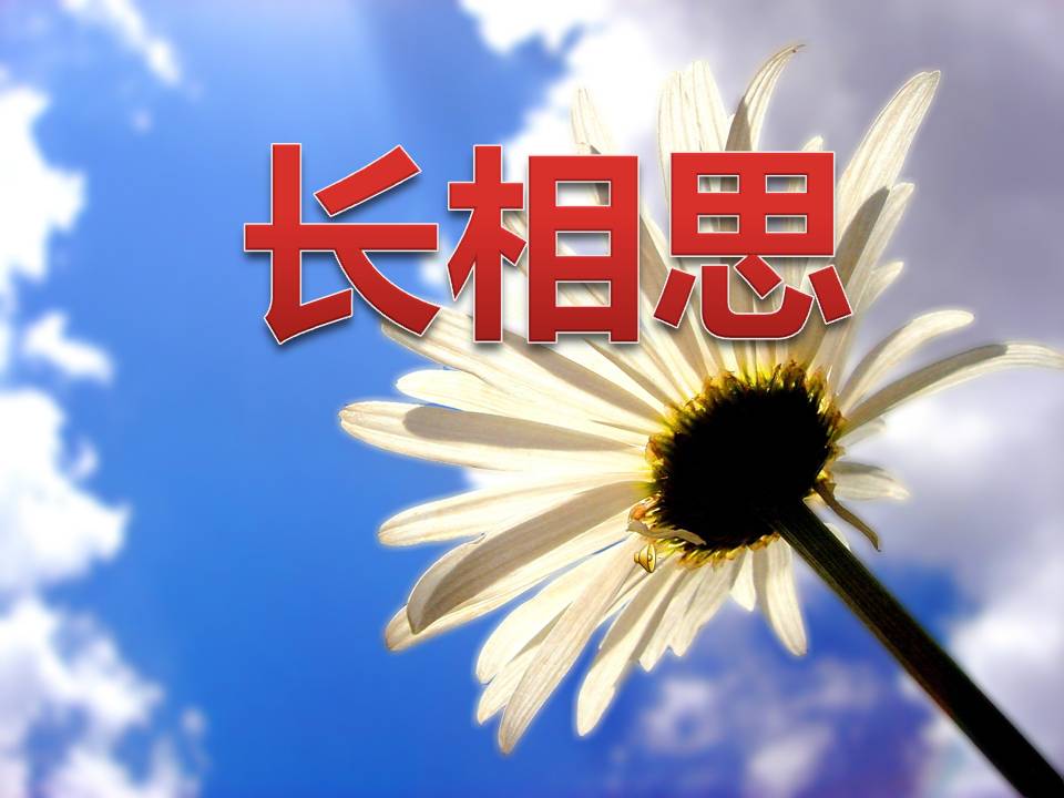 ppt模板长相思