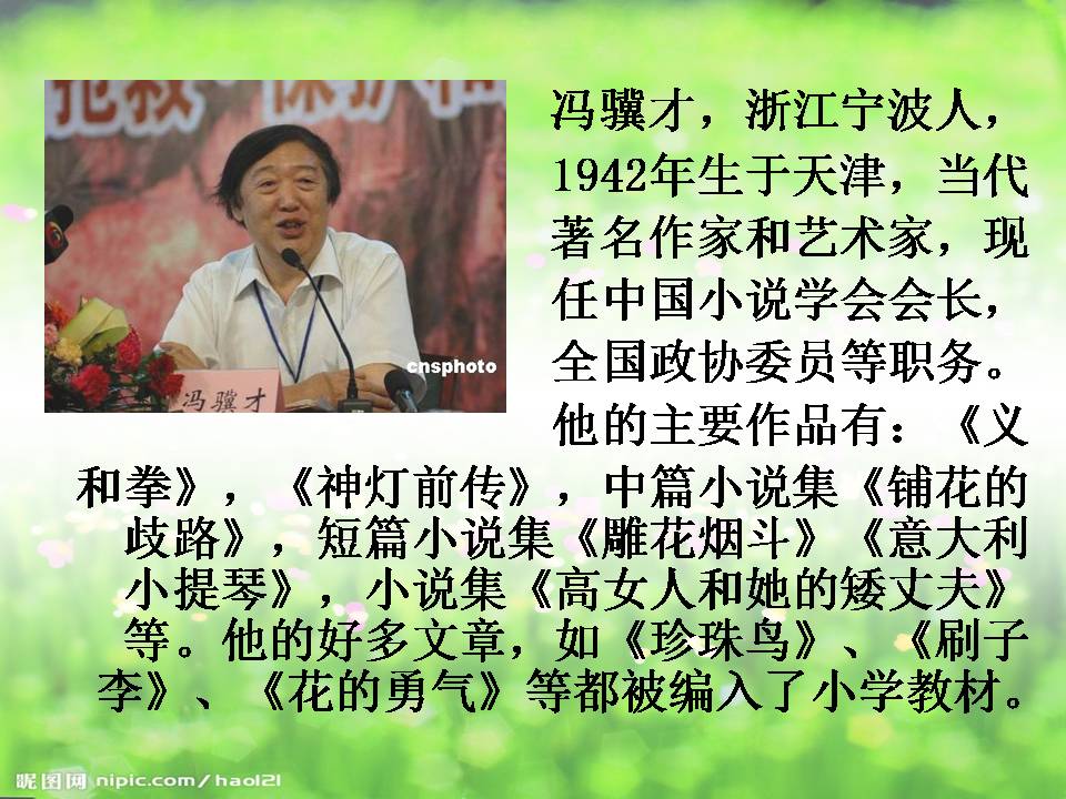 花的勇气教学ppt