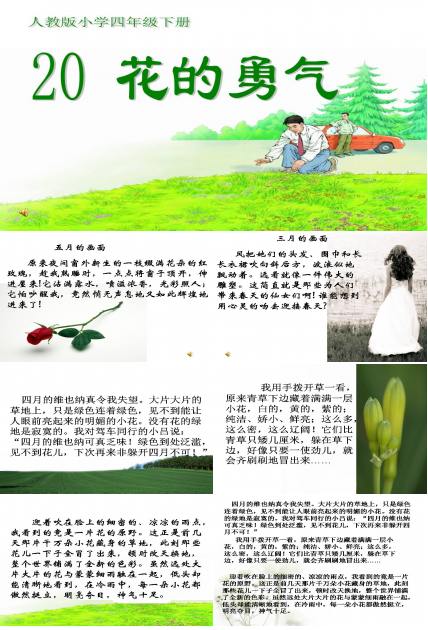 花的勇气ppt完美版