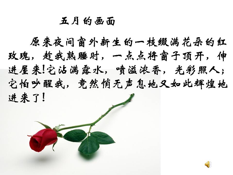 花的勇气ppt完美版