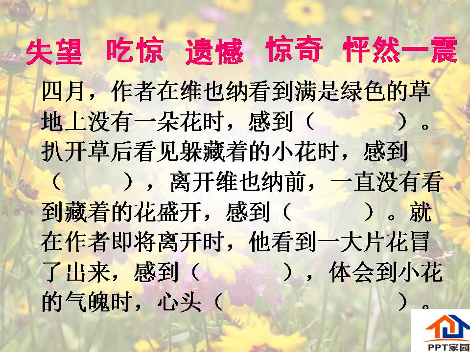 花的勇气教学ppt