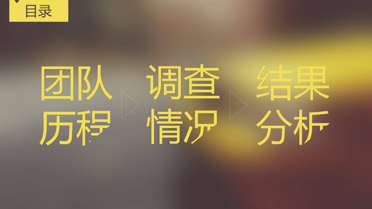 调研报告ppt模板