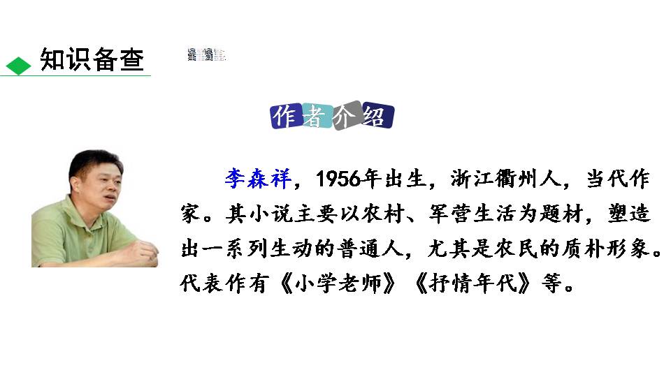 李森祥台阶ppt模板