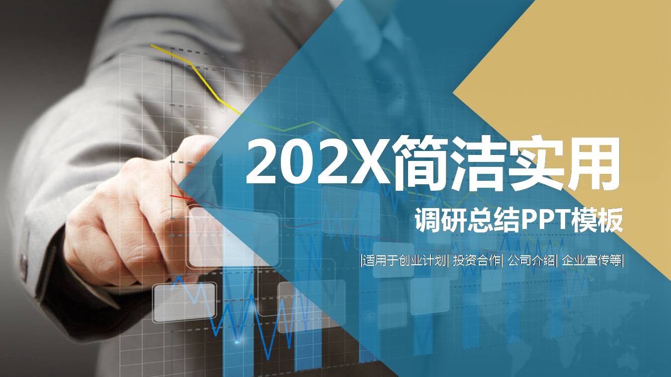 调研报告ppt