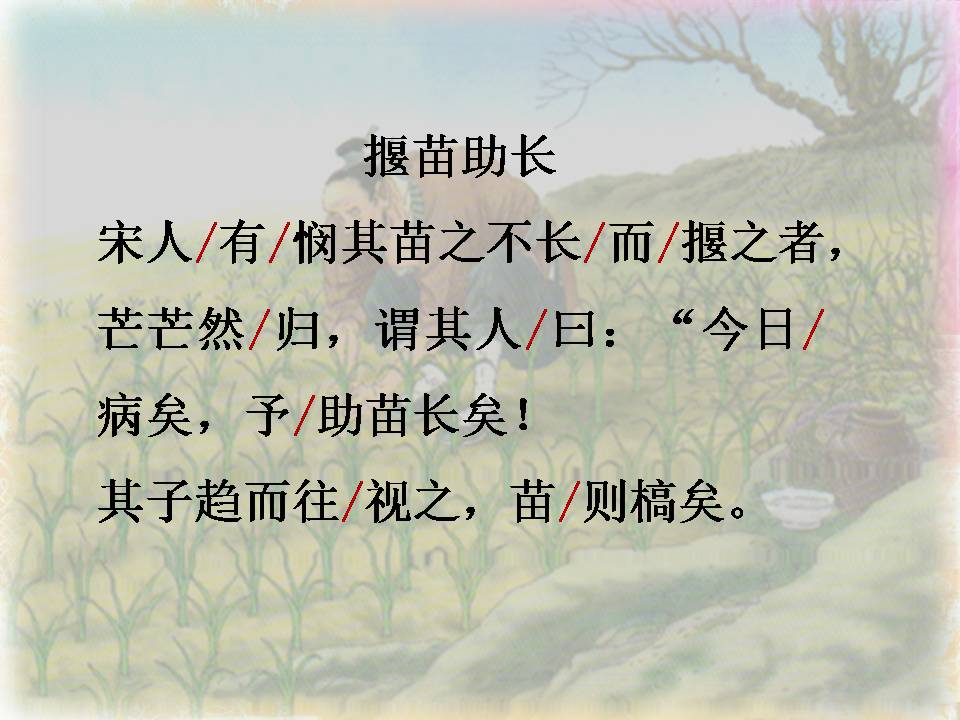 拔苗助长的故事ppt