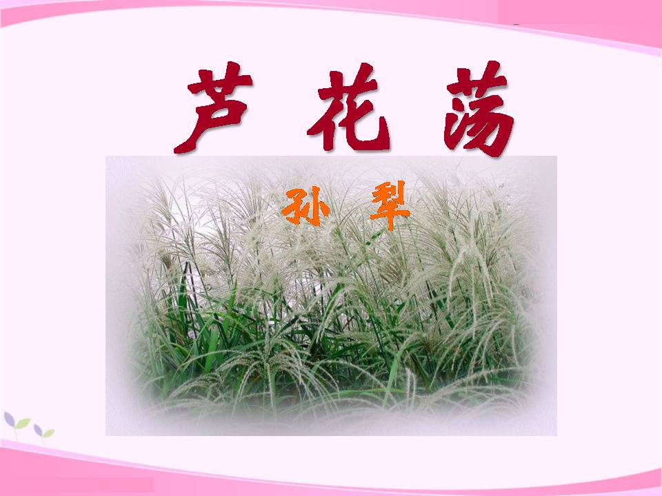 芦花荡ppt教学课件