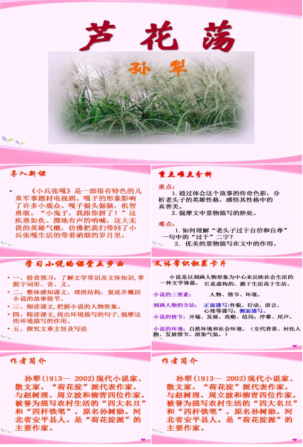 芦花荡ppt教学课件