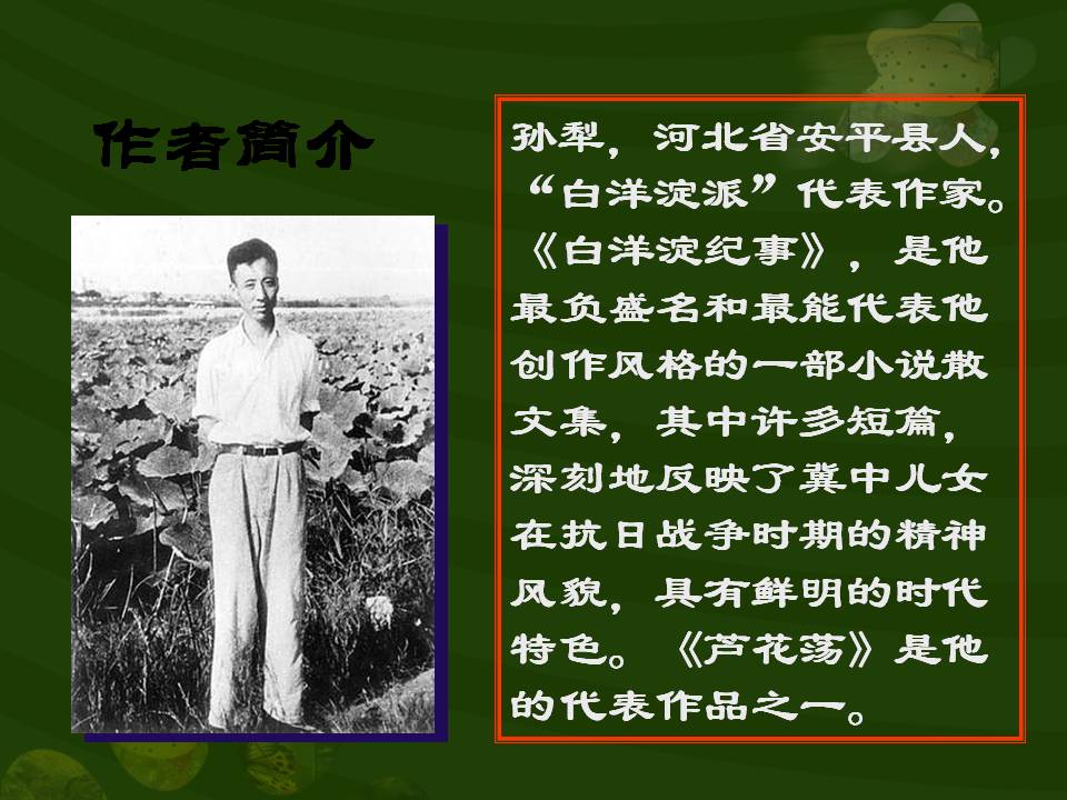 芦花荡ppt模版