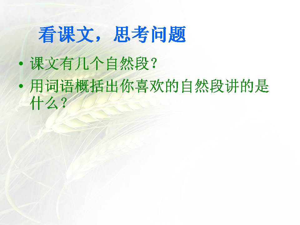 鲸ppt课件完美版 