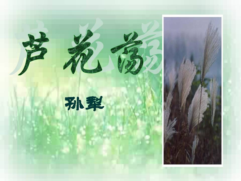 芦花荡ppt人教版