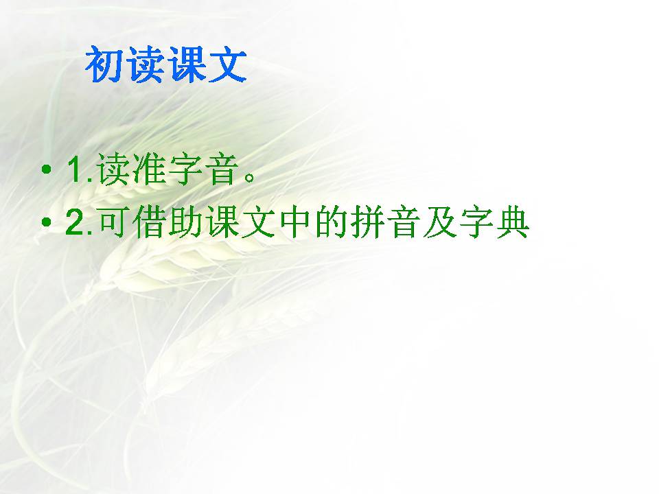 鲸ppt课件完美版 