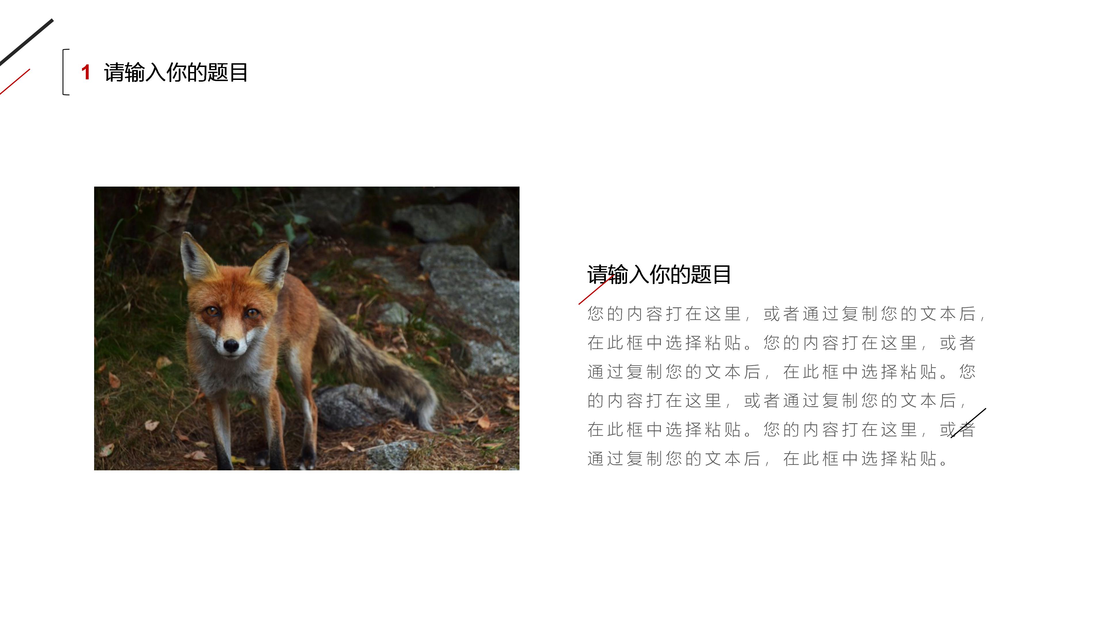 合作伙伴商业计划书ppt模板