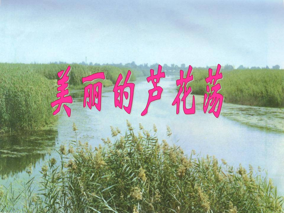 芦花荡ppt人教版
