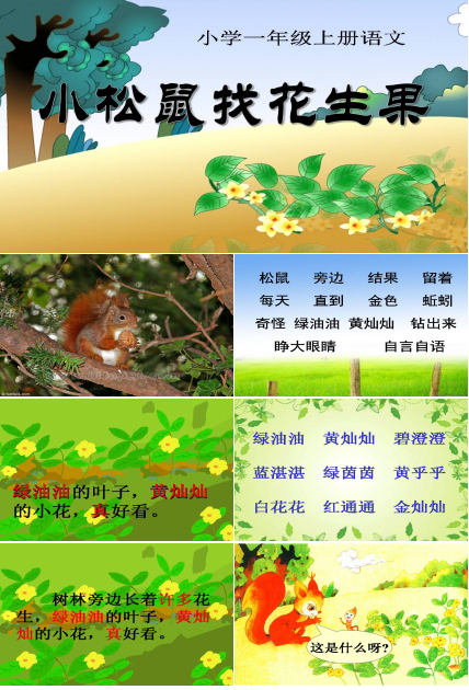 小松鼠找花生果ppt