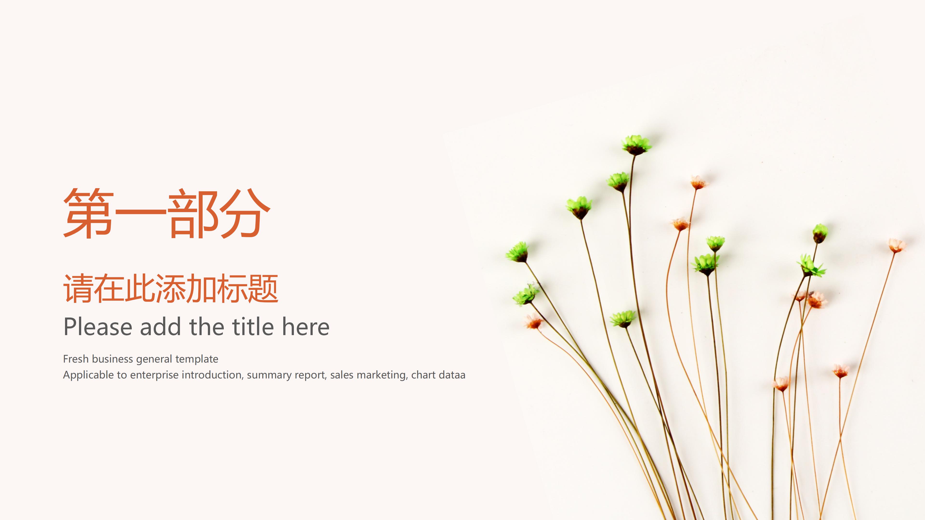 创业获奖项目计划书ppt模板